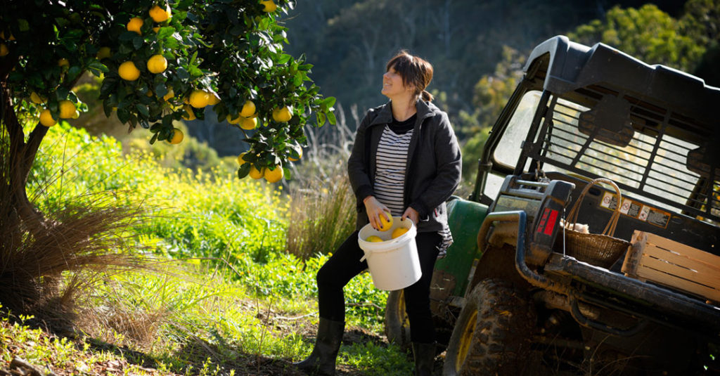 About forage & feast